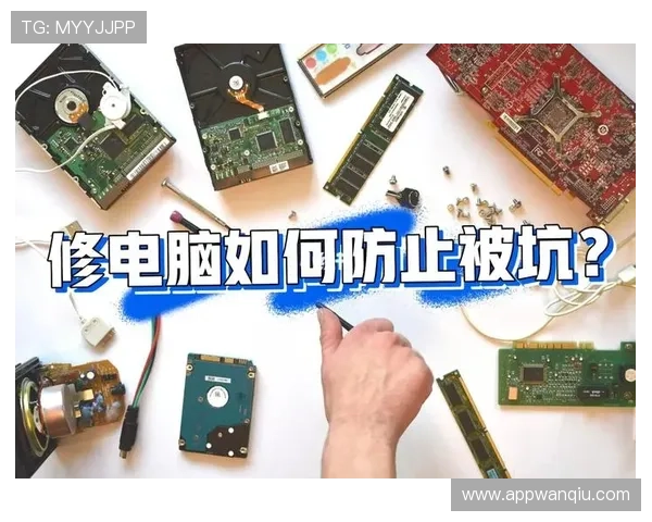 玩球新手入门教程品牌入口下载评测避坑防骗